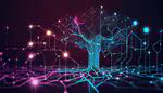 Gradient-free optimization of artificial and biological networks using learning to learn